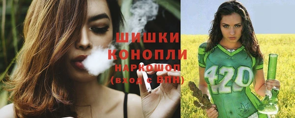 мяу мяу мука Вязьма