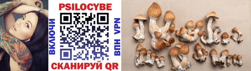 Купить  Тюкалинск  Псилоцибиновые грибы MAGIC MUSHROOMS 